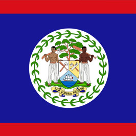 Belize customs form