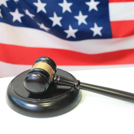 Does ESTA check UK criminal records